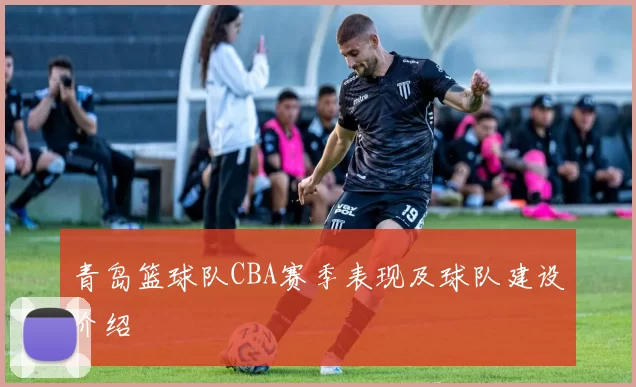 青岛篮球队CBA赛季表现及球队建设介绍