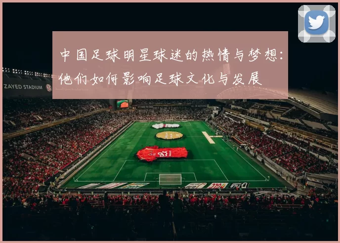 中国足球明星球迷的热情与梦想：他们如何影响足球文化与发展