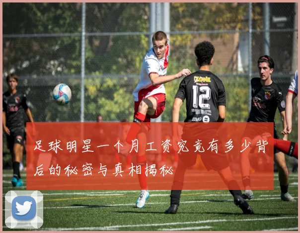 足球明星一个月工资究竟有多少背后的秘密与真相揭秘