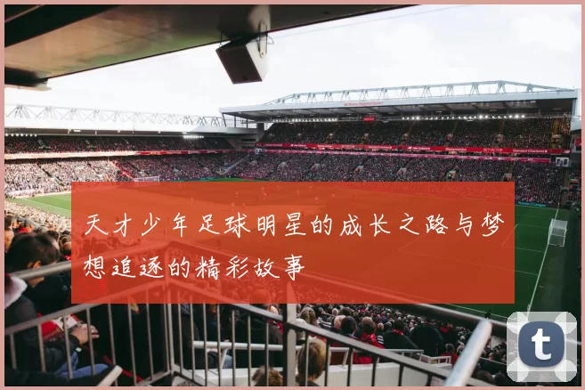 天才少年足球明星的成长之路与梦想追逐的精彩故事