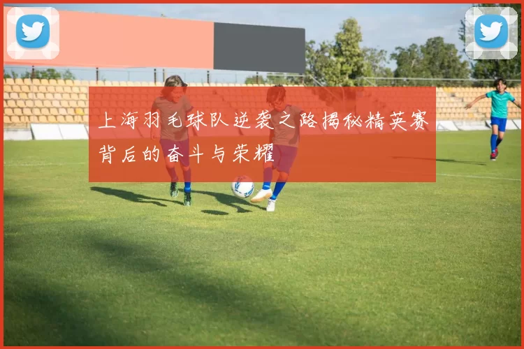 上海羽毛球队逆袭之路揭秘精英赛背后的奋斗与荣耀