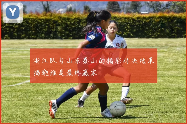 浙江队与山东泰山的精彩对决结果揭晓谁是最终赢家