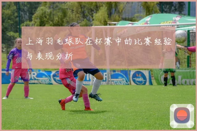 上海羽毛球队在杯赛中的比赛经验与表现分析