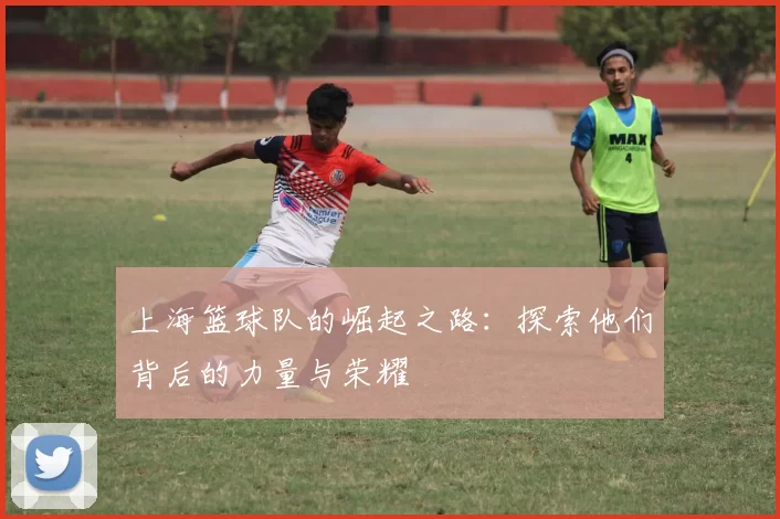 上海篮球队的崛起之路：探索他们背后的力量与荣耀
