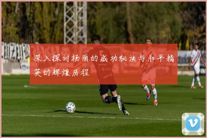 深入探讨杨丽的成功秘诀与和平精英的辉煌历程