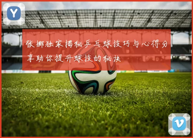 张娜独家揭秘乒乓球技巧与心得分享助你提升球技的秘诀