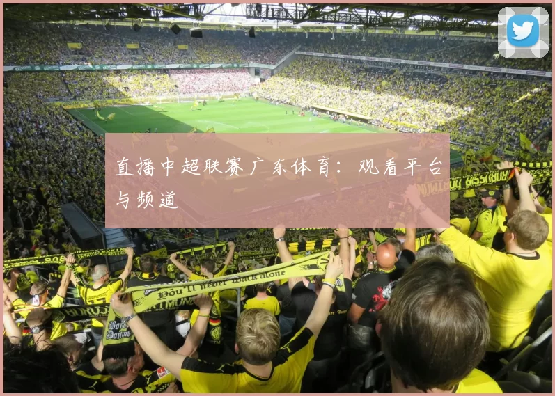 直播中超联赛广东体育：观看平台与频道