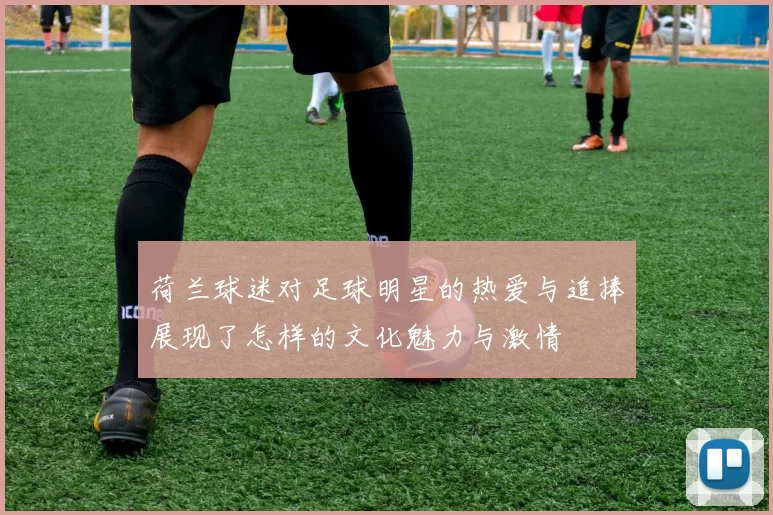 荷兰球迷对足球明星的热爱与追捧展现了怎样的文化魅力与激情