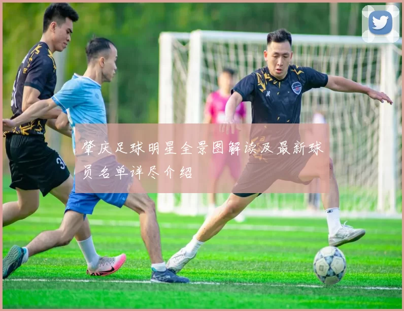 肇庆足球明星全景图解读及最新球员名单详尽介绍