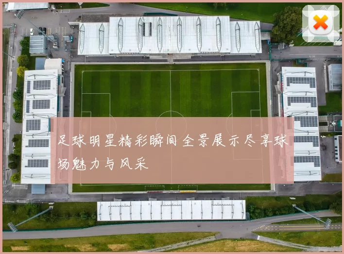足球明星精彩瞬间全景展示尽享球场魅力与风采