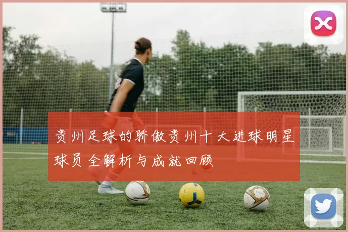 贵州足球的骄傲贵州十大进球明星球员全解析与成就回顾