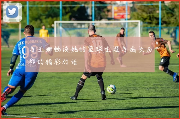 与王娜畅谈她的篮球生涯与成长历程的精彩对话