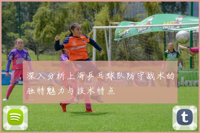 深入分析上海乒乓球队防守战术的独特魅力与技术特点