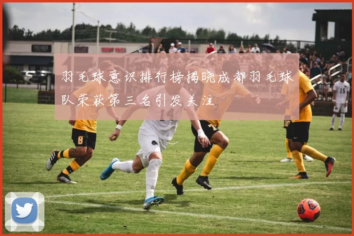 羽毛球意识排行榜揭晓成都羽毛球队荣获第三名引发关注