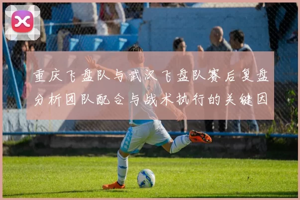 重庆飞盘队与武汉飞盘队赛后复盘分析团队配合与战术执行的关键因素
