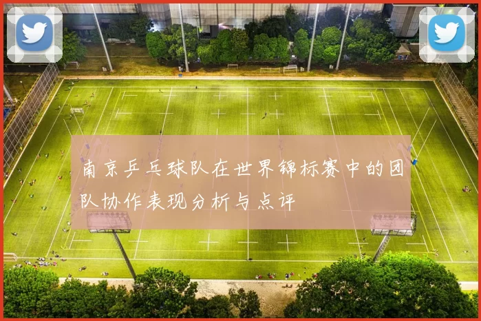 南京乒乓球队在世界锦标赛中的团队协作表现分析与点评