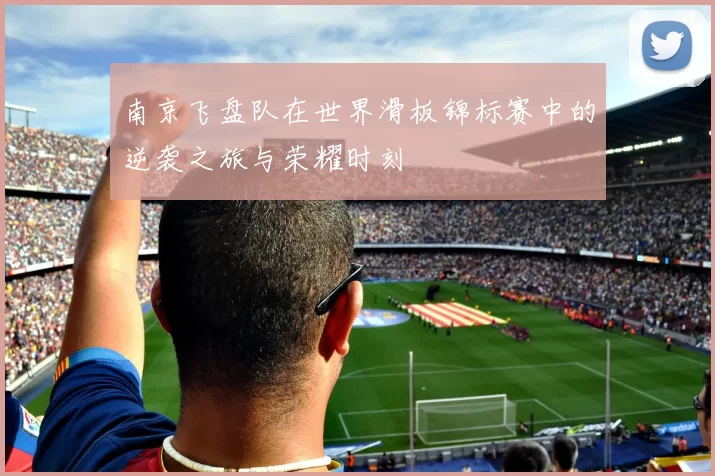 南京飞盘队在世界滑板锦标赛中的逆袭之旅与荣耀时刻