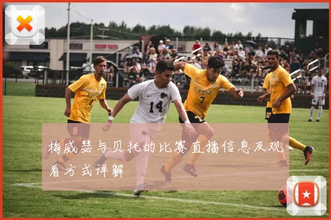 梅威瑟与贝托的比赛直播信息及观看方式详解