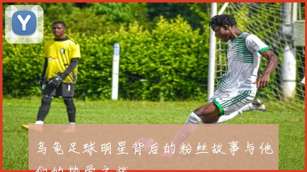 乌龟足球明星背后的粉丝故事与他们的热爱之旅