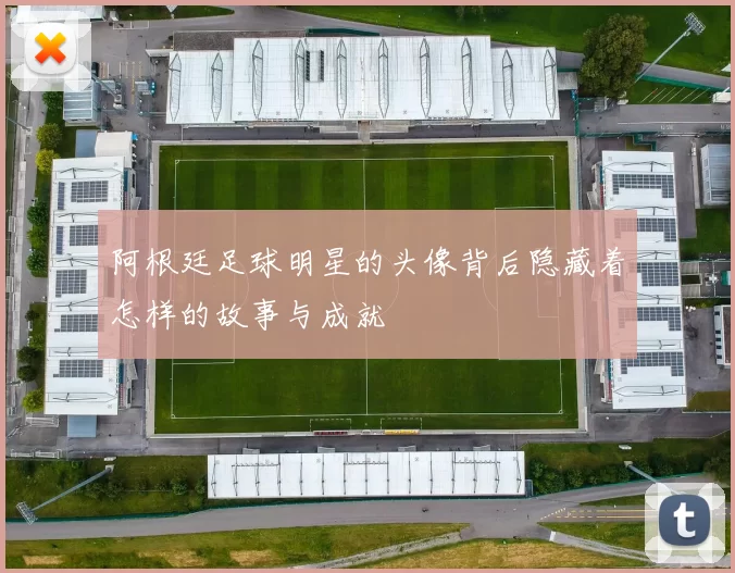 阿根廷足球明星的头像背后隐藏着怎样的故事与成就