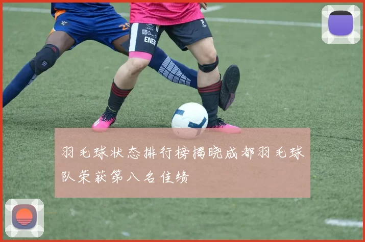 羽毛球状态排行榜揭晓成都羽毛球队荣获第八名佳绩